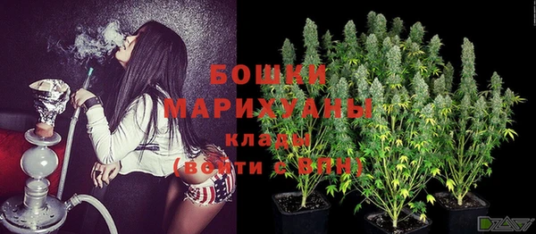 ECSTASY Ветлуга