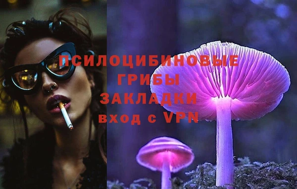 ECSTASY Ветлуга