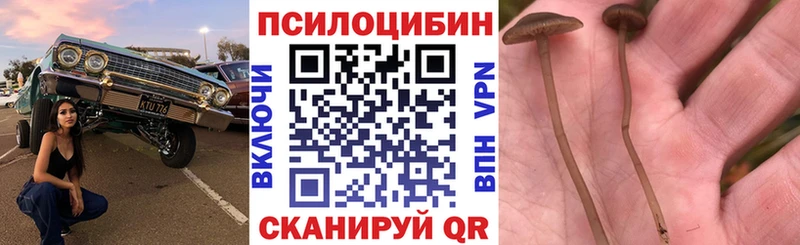 Галлюциногенные грибы GOLDEN TEACHER Микунь