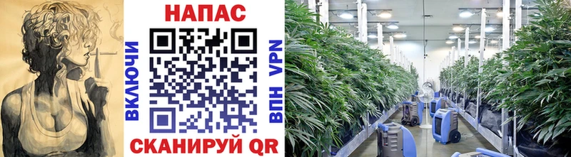 Бошки Шишки OG Kush  Микунь 